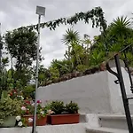 Apartment Attico Bouganville Porto Alabe