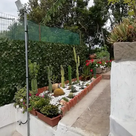 Attico Bouganville Apartamento Porto Alabe