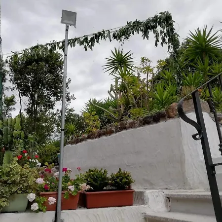 Apartamento Attico Bouganville Porto Alabe