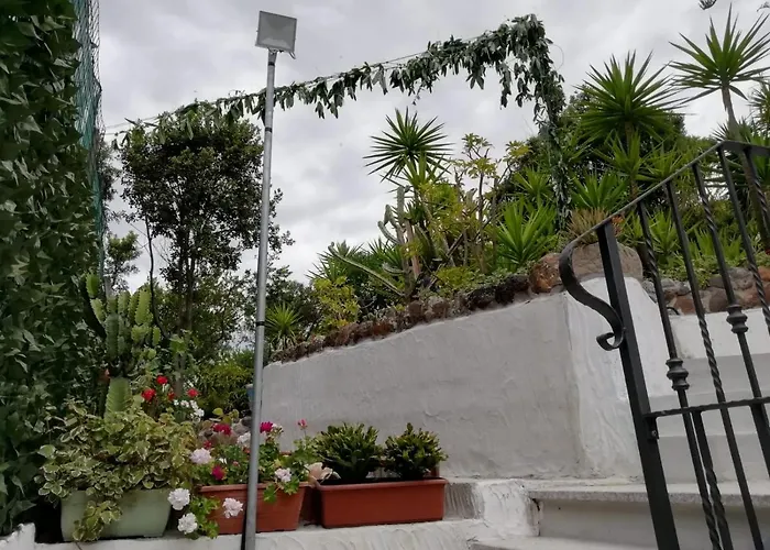 Apartamento Attico Bouganville Porto Alabe